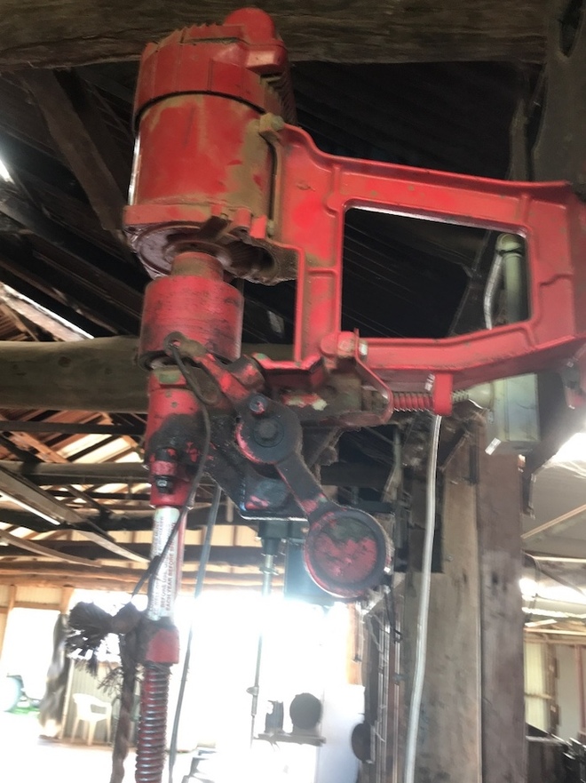 Sunbeam Super Pro Shearing Plants x 3 Livestock Equipment